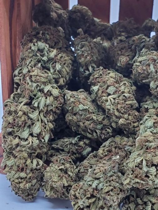 BC God Bud Hybrid