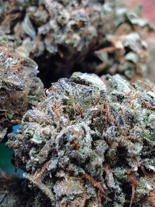 Death Bubba