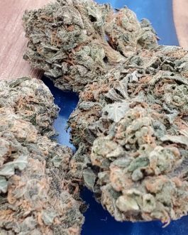 Gorilla Bomb Sativa Hybrid