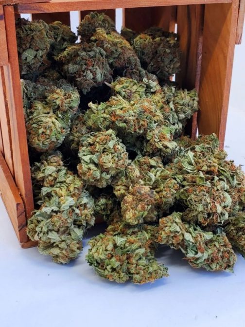Kosher Kush Hybrid Indica