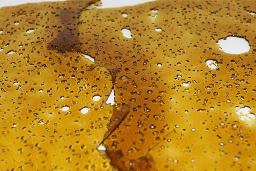 New York Cheese #Shatter – 5 Grams