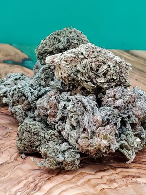 Purple Kush Indica Strain