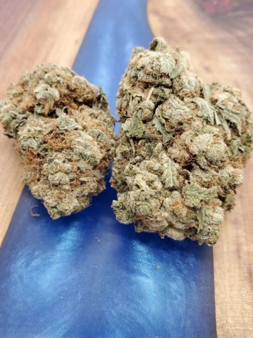 Sugar Cookie Hybrid Strain