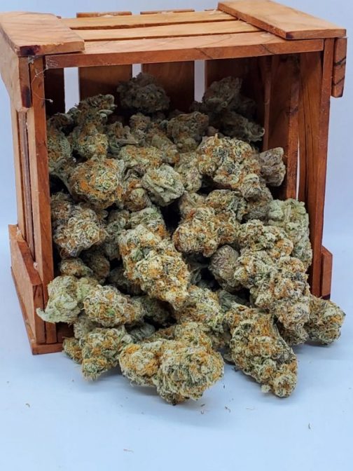 Wizard Punch Breath Hybrid