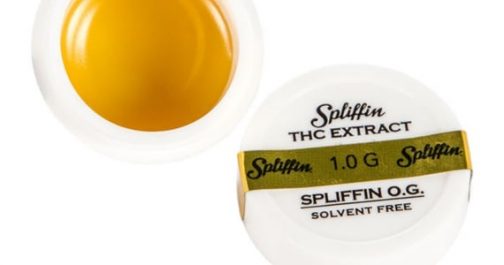 Spliffin OG Sap (I)
