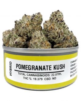 Pomegranate Kush